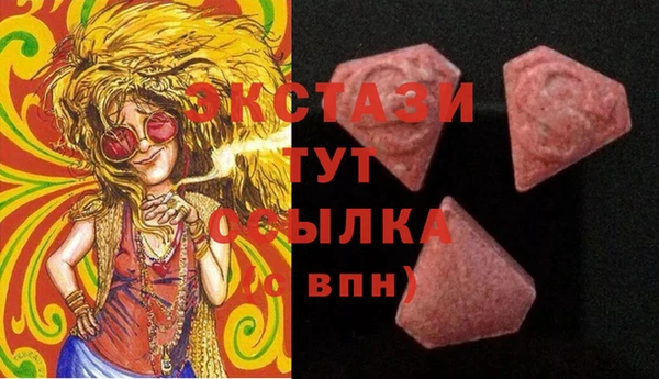 ECSTASY Няндома