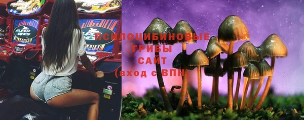 амф Новокубанск