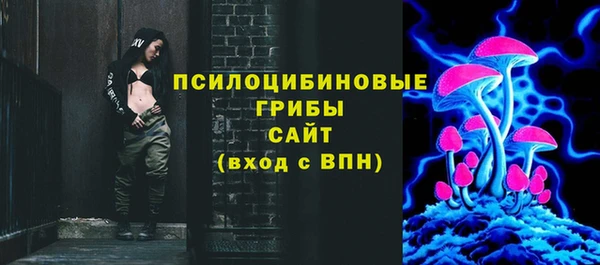 амф Новокубанск
