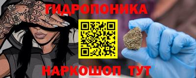 шишки Канаш