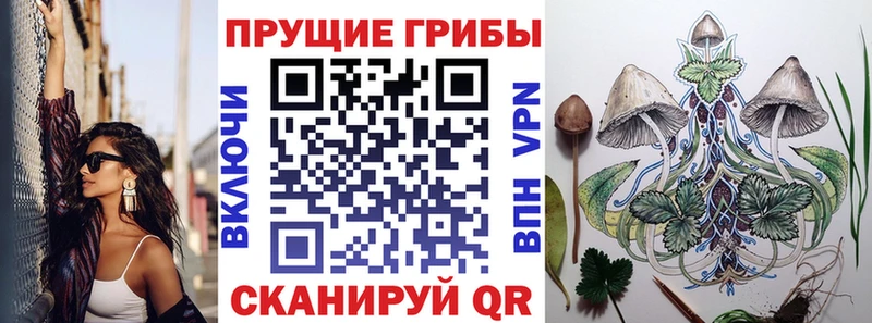 Галлюциногенные грибы Psilocybe  Усолье-Сибирское 
